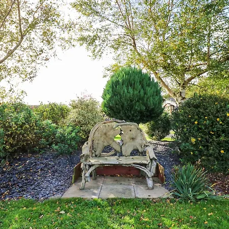 Dragonfly * 리치먼드