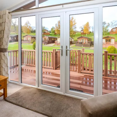 Dragonfly 리치먼드